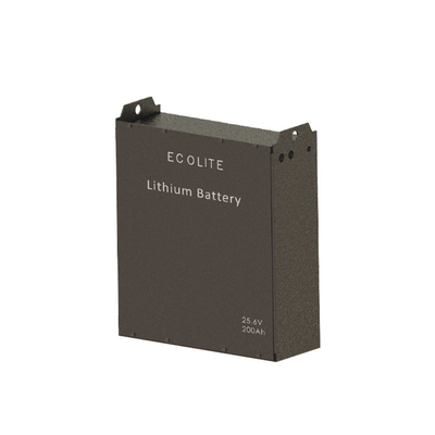 24V 48V 51.2V LiFePo4 accu 200Ah Vorklift Traction Battery Industrieel Lithiumbatterij