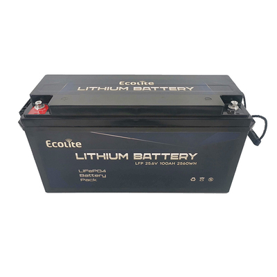 Hoge dichtheid snelle oplaadduur PO4 Lithiumbatterij 25.6V 100Ah 2560Wh