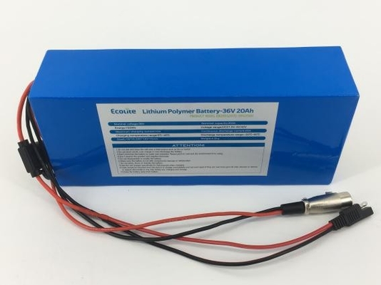 Ecolite NCM batterij hoge dichtheid batterij 36V 20,8Ah lithiumbatterij met BMS