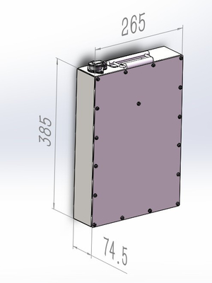 Ecolite 50.4V 38.4Ah Lithium Nickel Manganese Cobalt Oxide Batterijpakket Voor sneeuwscooter