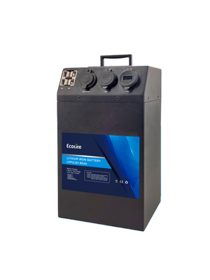 Op maat gemaakte Protable power LiFePO4 Lithiumbattery 12.8V 80Ah AC DC powerbank
