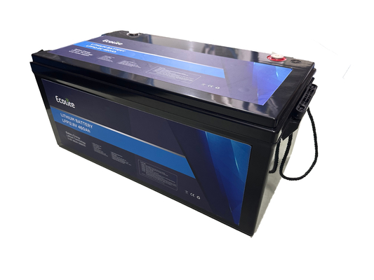 ECOLITE Hoge energiedichtheid 12.8V 460Ah RV marine back-up power Lithiumbatterij