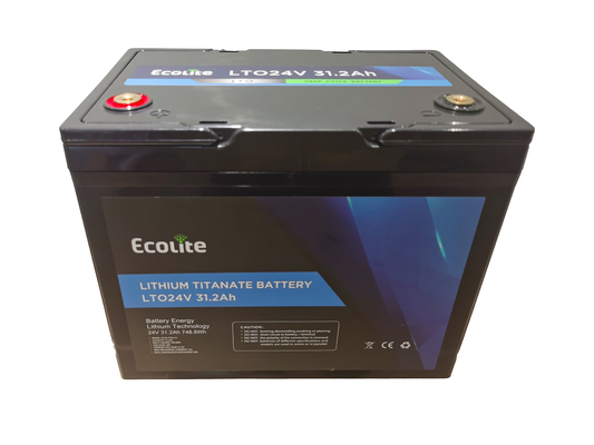 Ecolite lange levensduur>10000 24V 31,2Ah Lithium Titanate LTO batterijpakket